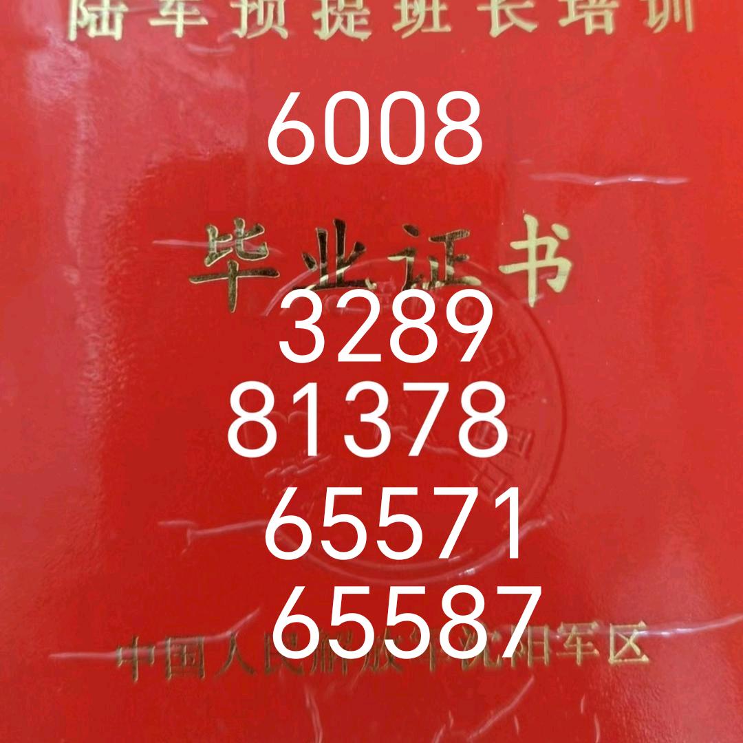 唐山遥望四平街的老兵