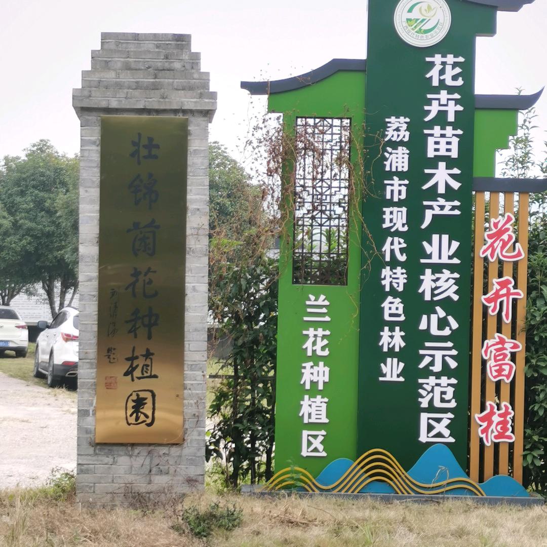 壮锦兰花