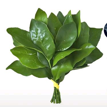 ໒𖦹ࡇ𖦹͛১ ꪔ̤̥ꪔ̤̮ꪔ̤