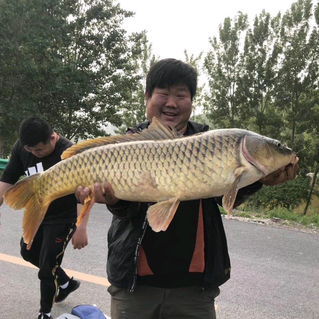 维修探鱼设备