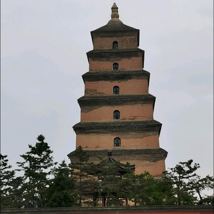 从零开始🔥🔥🔥