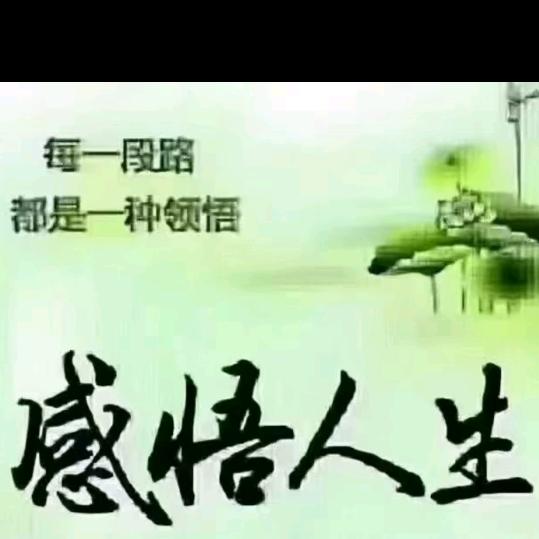 来生愿做一朵莲