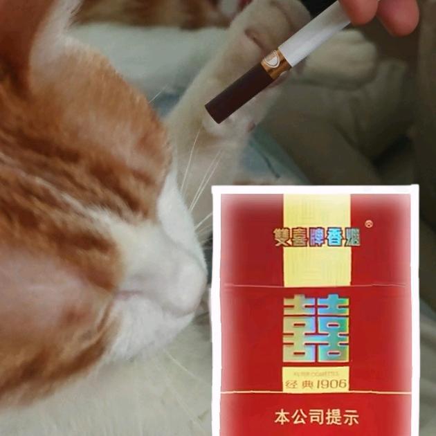 我的中束有点死了