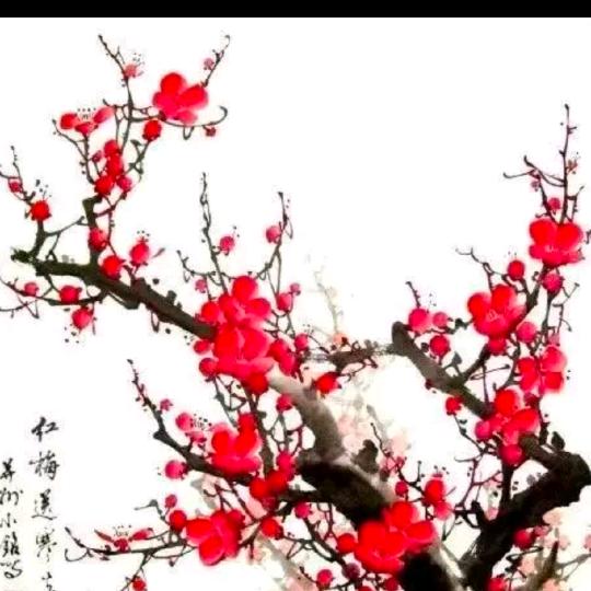 寒雪梅