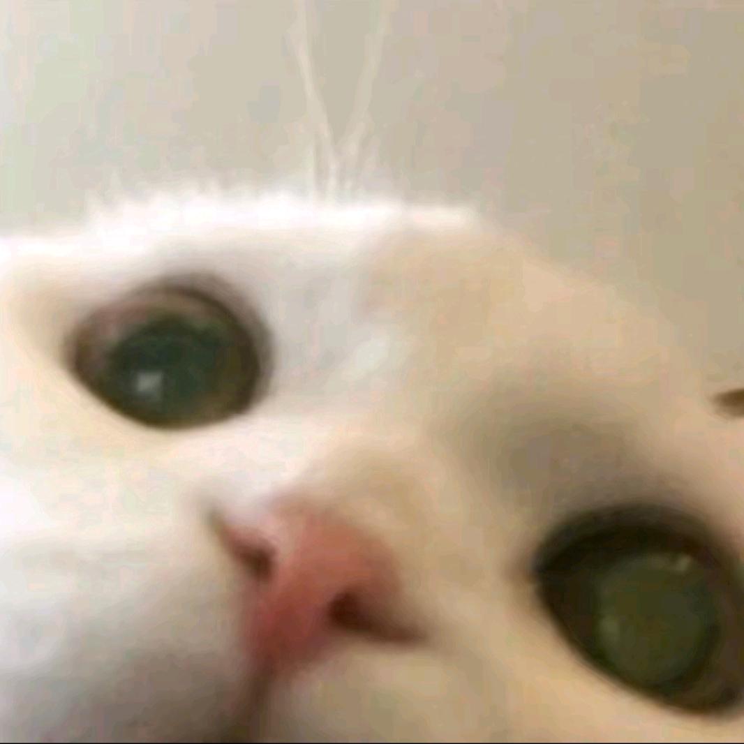 发如雪