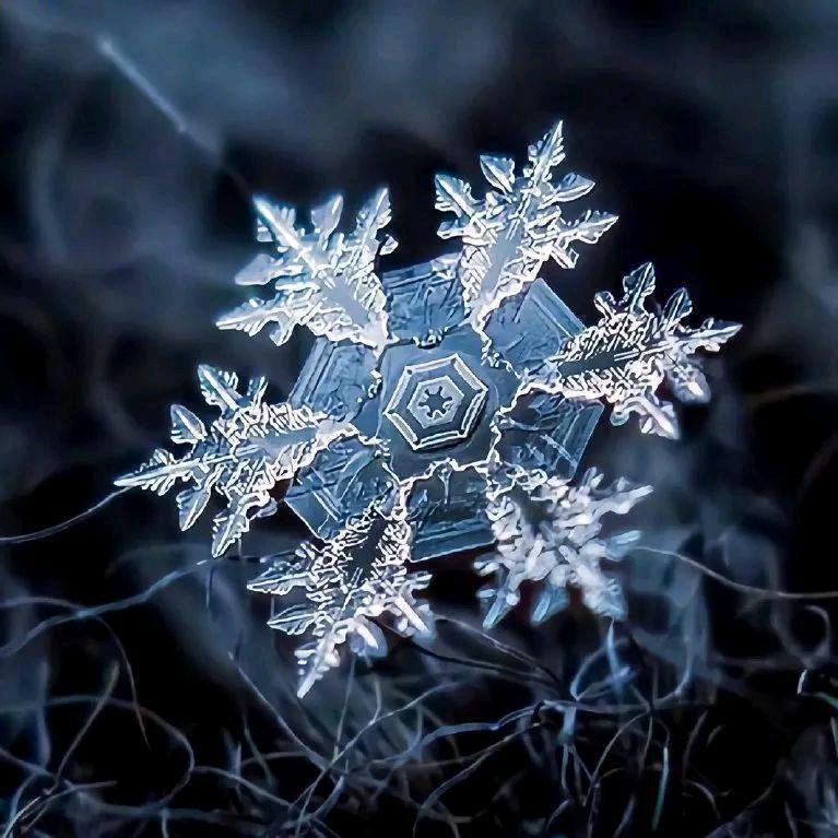 ❄️❄️❄️❄️❄️❄️❄️