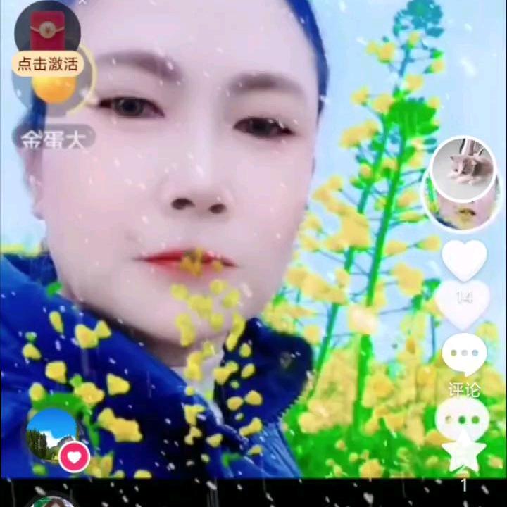 胡姐