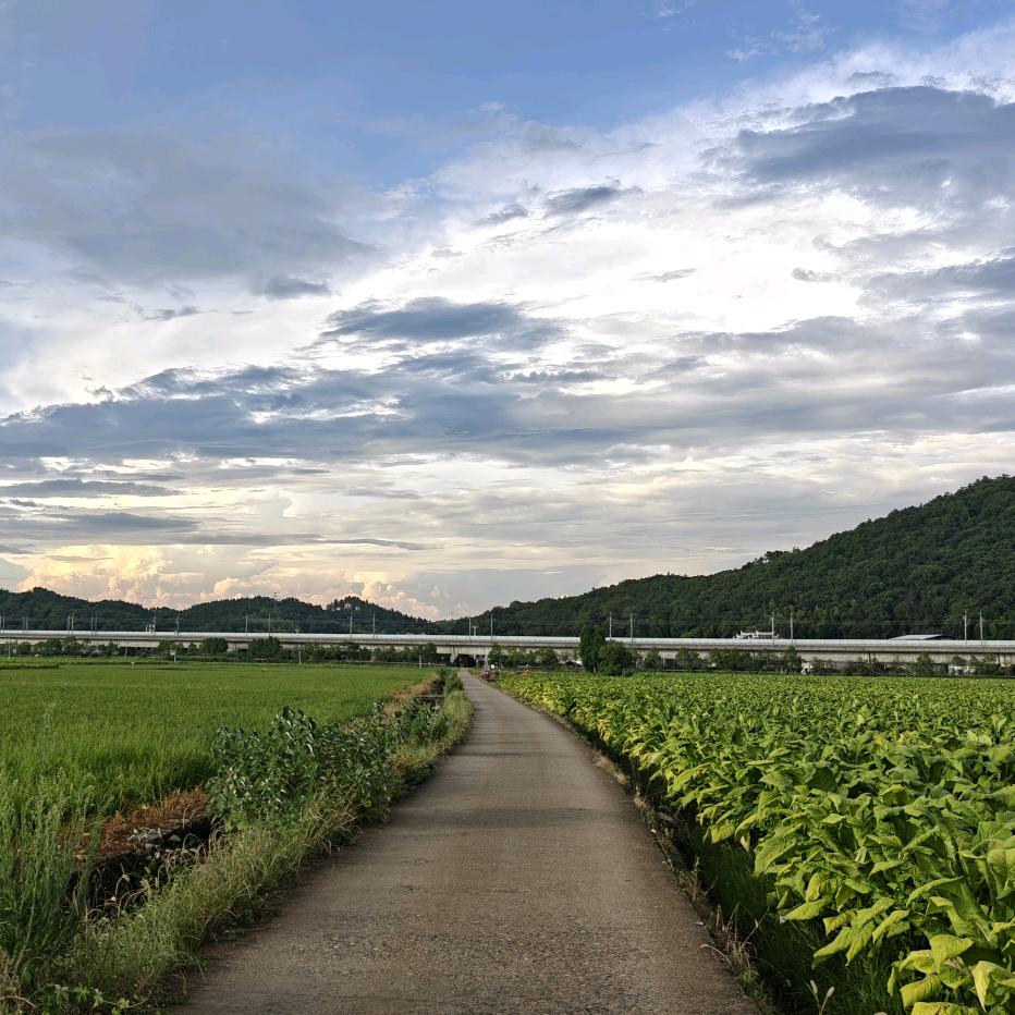 农资人小赖（勇闯田间版）