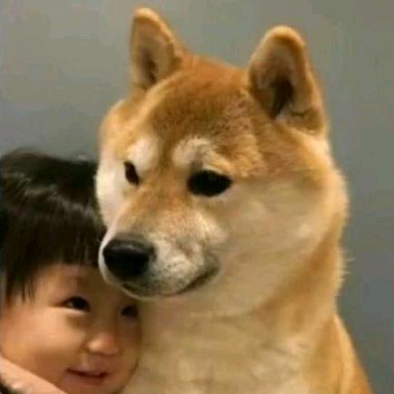 你永远是我的首选，且唯一