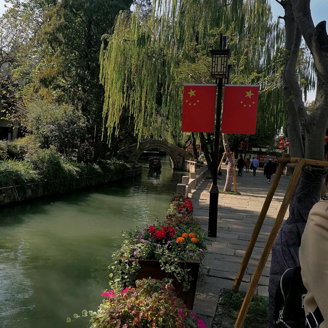 🌿文静💜🎶