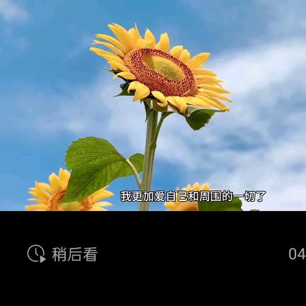 快乐一生
