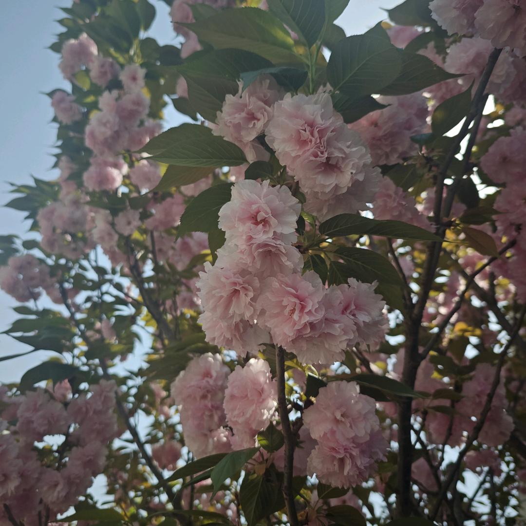 感动瞬间