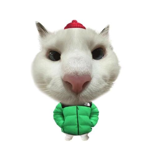 哈哈哈