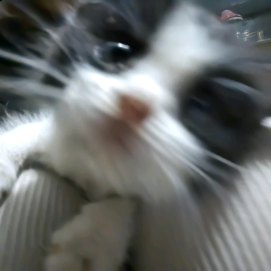 如果可以的话，我想环游世界