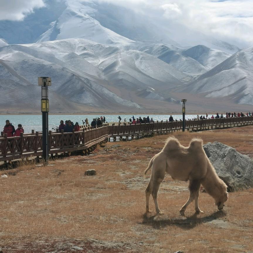 北方人or在北京