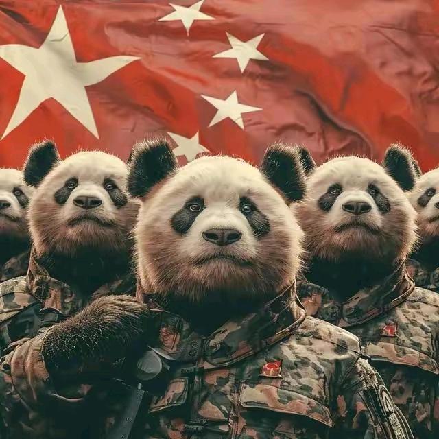 湖北的山，武汉的水，养猪的酒窝特别美。