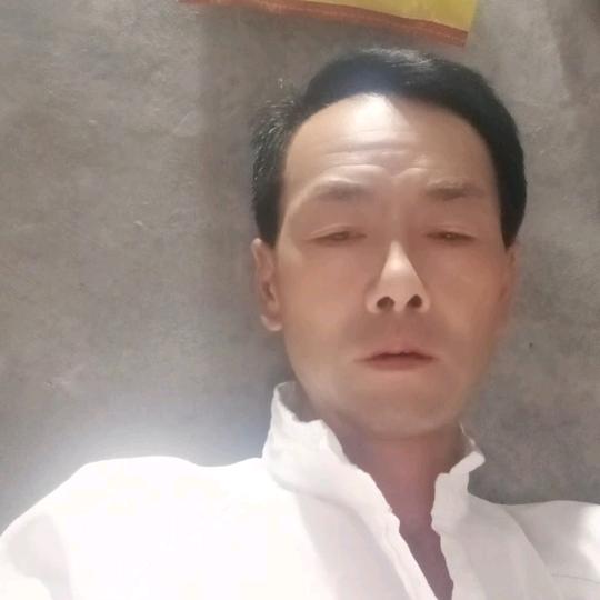 报废车销户
