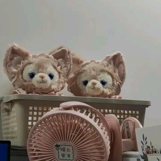 人间富贵花♡.