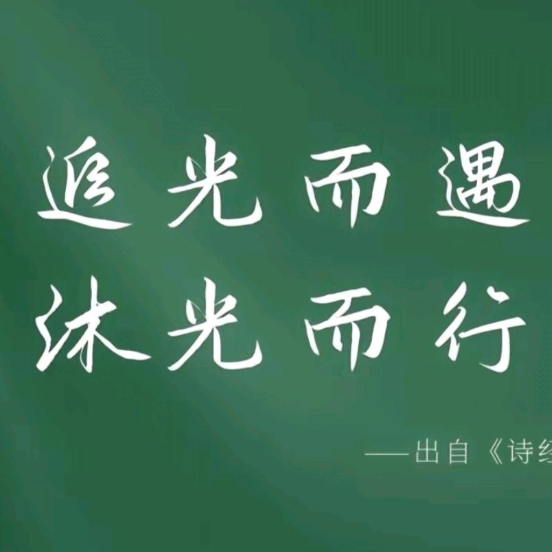 沐光而行
