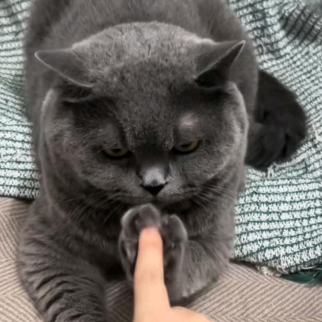 天上飘来五个字