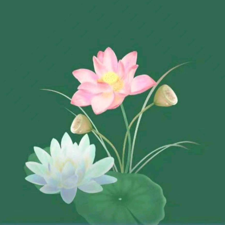 柒拾柒✨