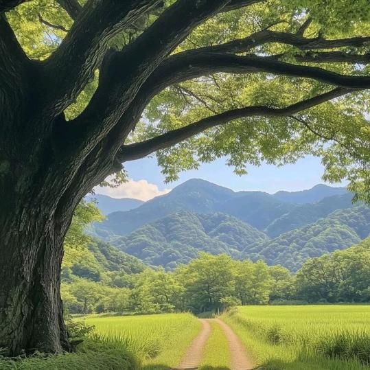 余生♥(｡￫v￩｡)♥安好