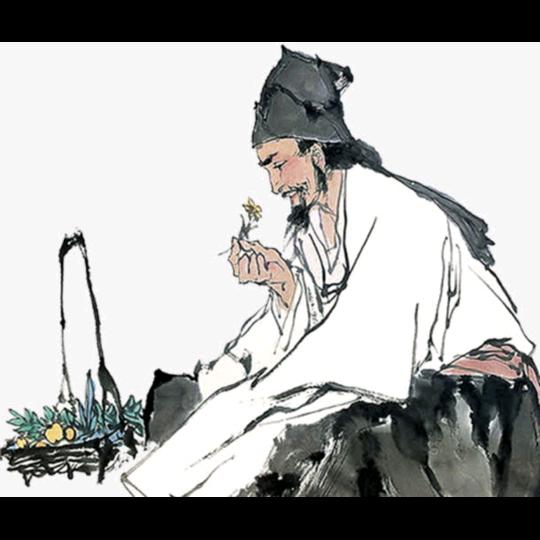 亳人堂滋补养生坊直播号