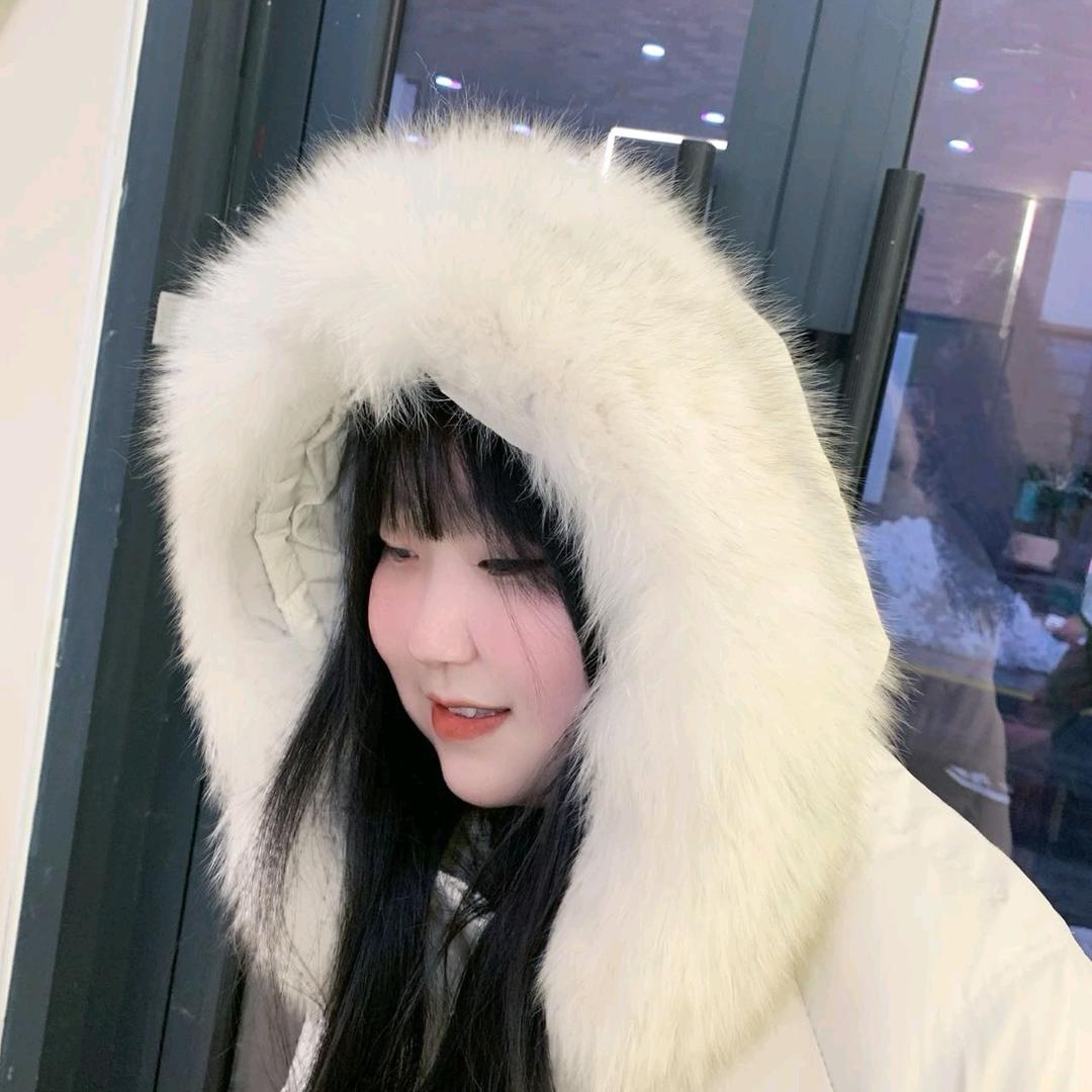 🐾 𓋃 萝卜兔 💞