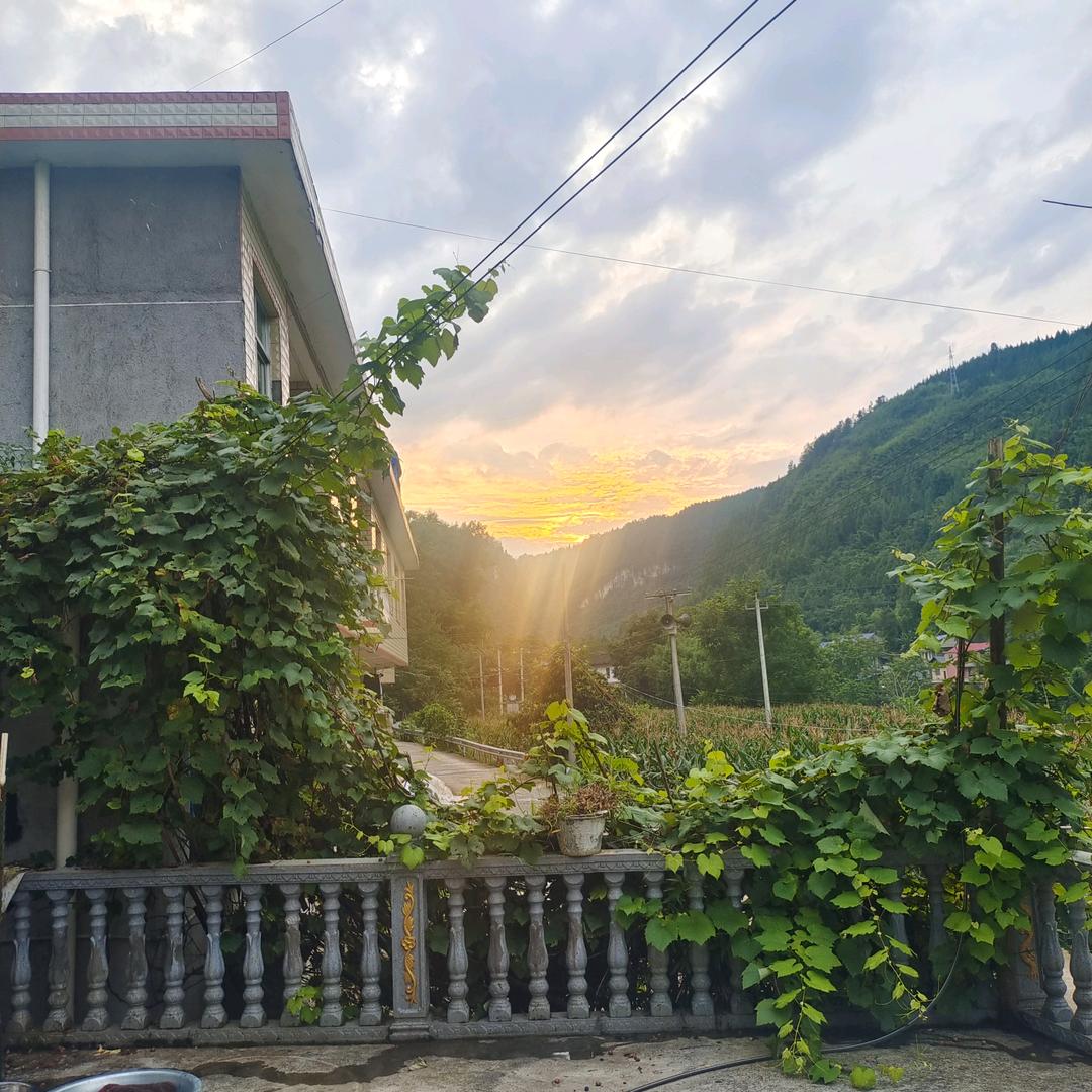 聽風🌻