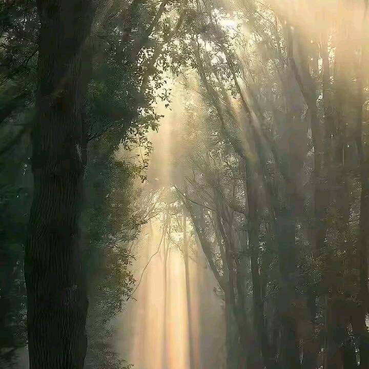 一缕阳光