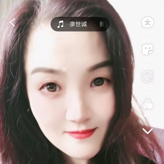 金凤凰