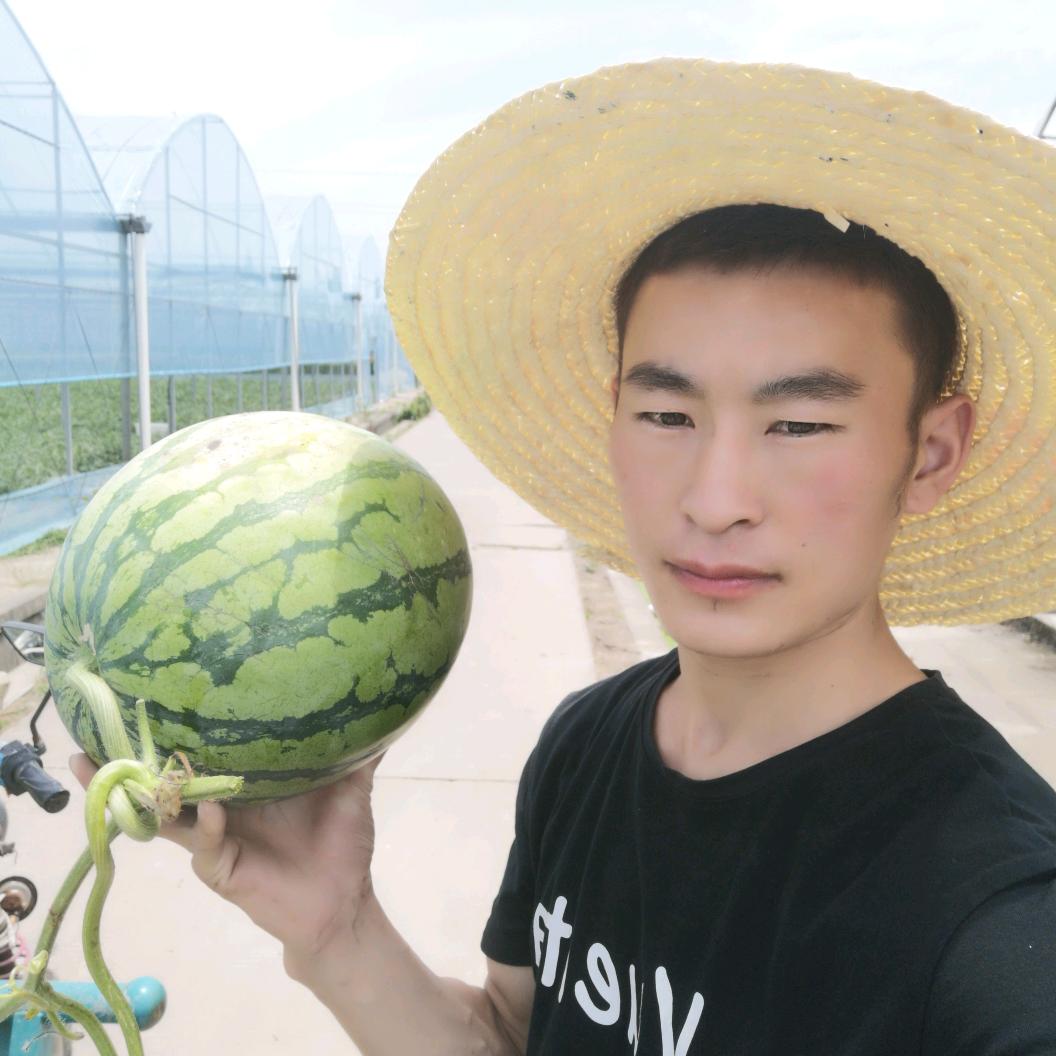 七星