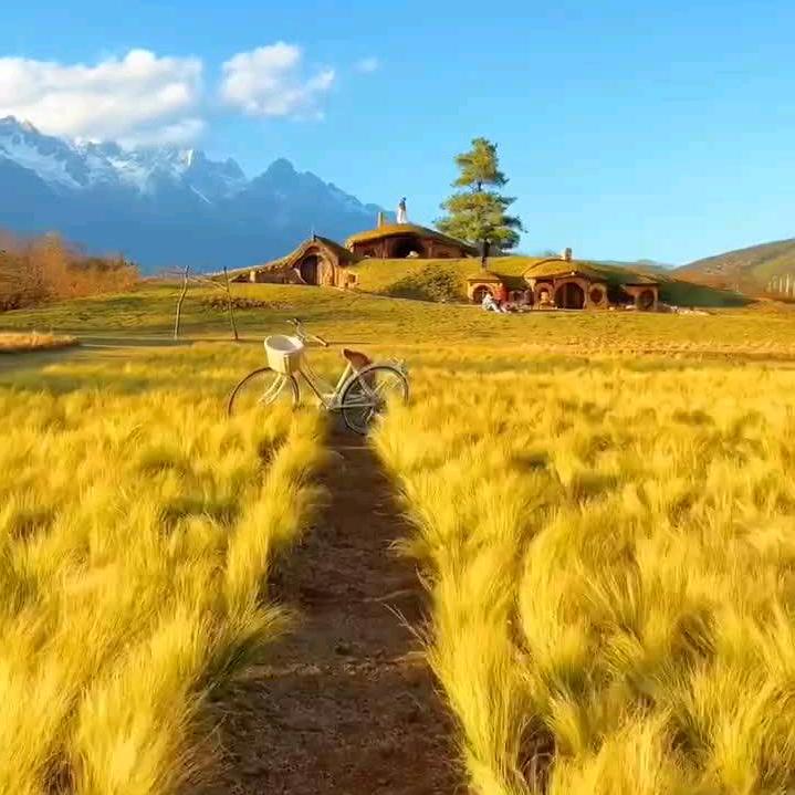 小暖儿🌻
