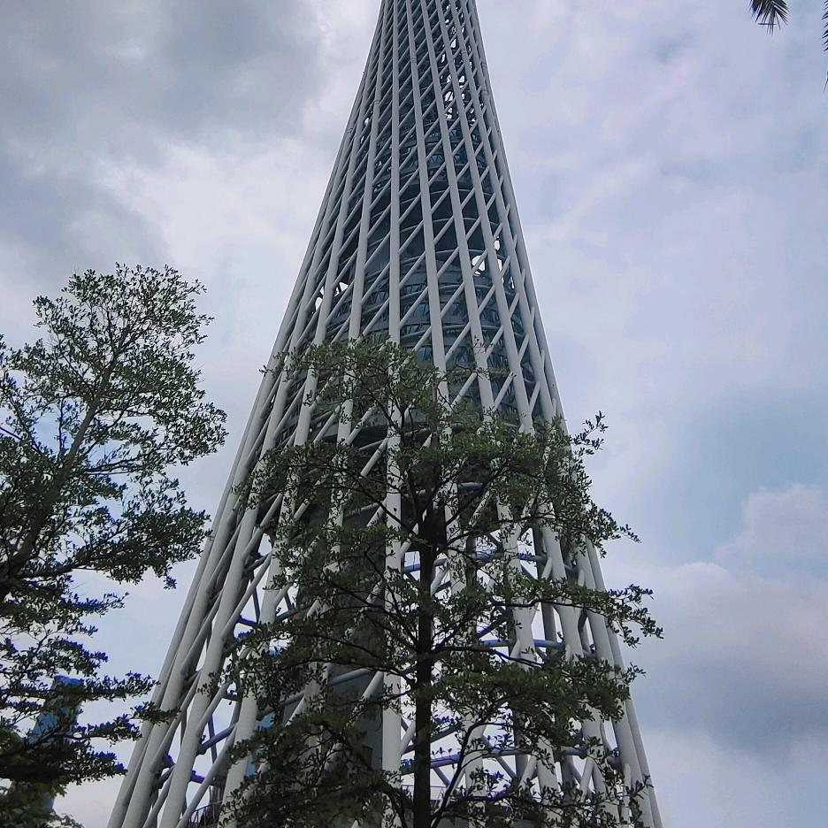 小马哥 ℡↖(^ω^)↗🪳