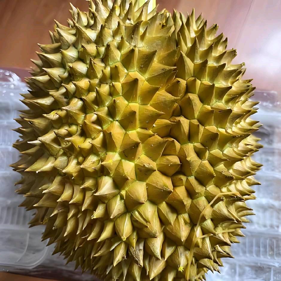 源源姐（榴莲批发）