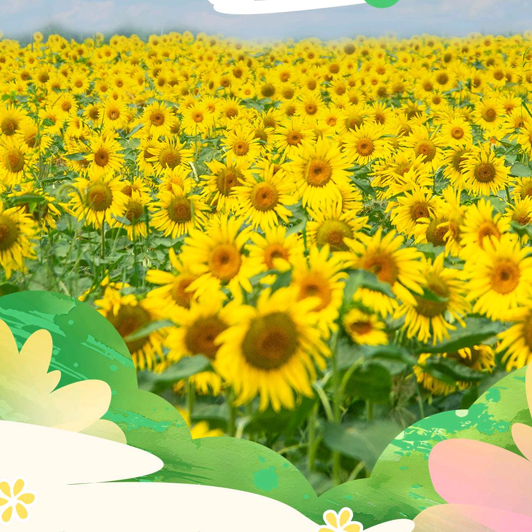 靠谁都不如靠自己