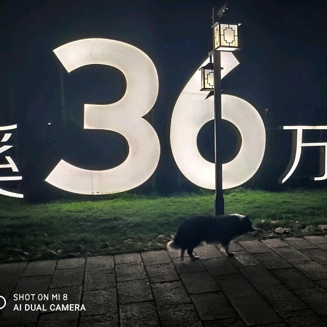 哎you喂