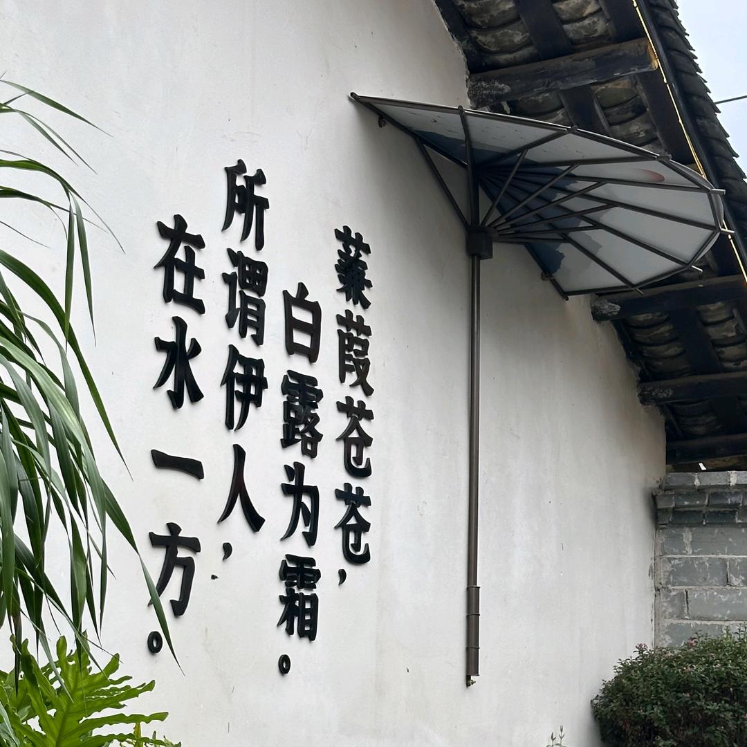 岭脚下-一方野🍞☕