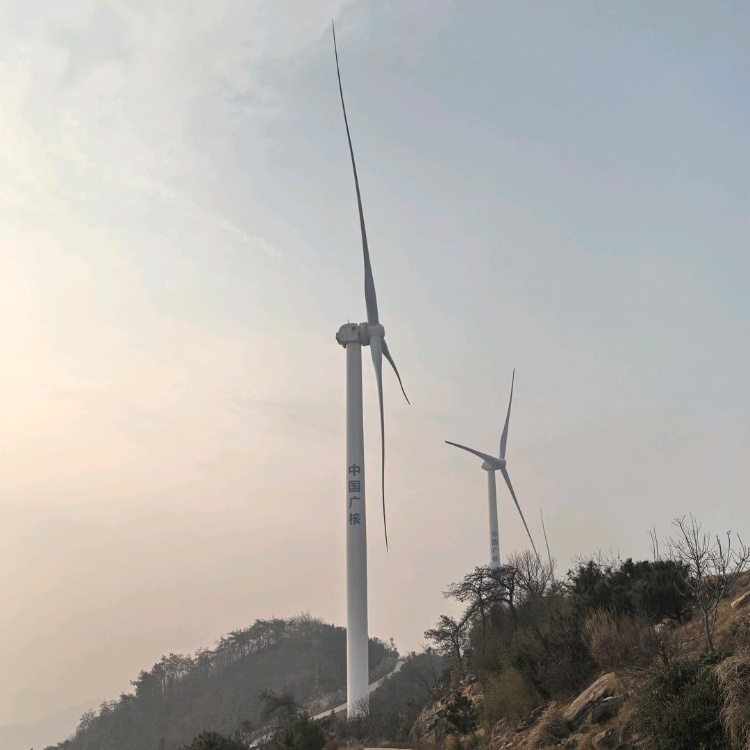 张大仙国学文化大师