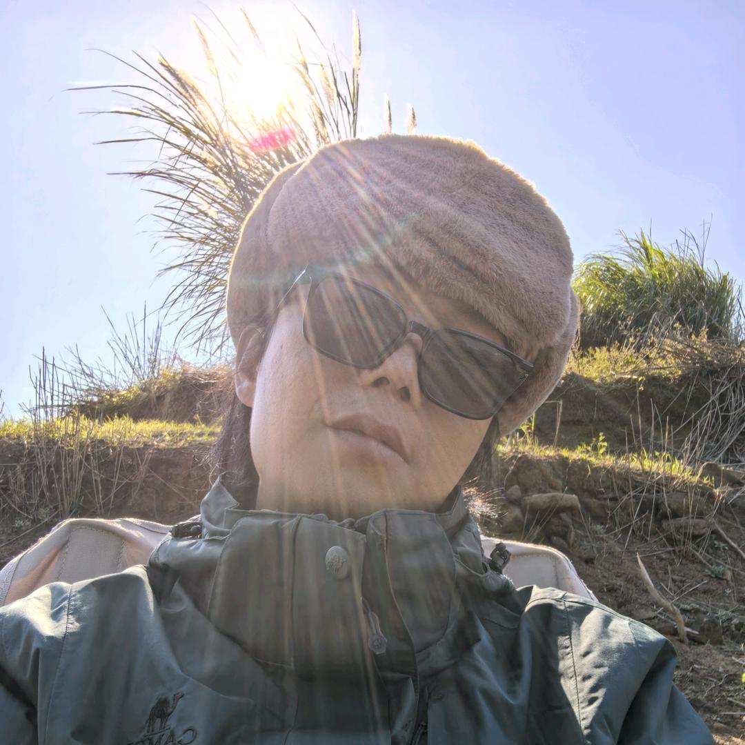 超级流浪者龙涛