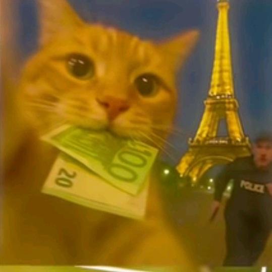 我看谁比我牛逼