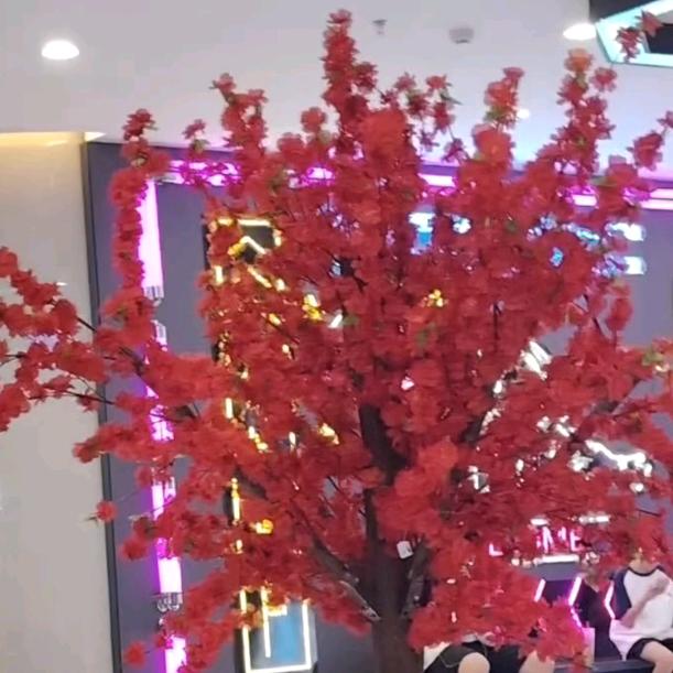 梦缘