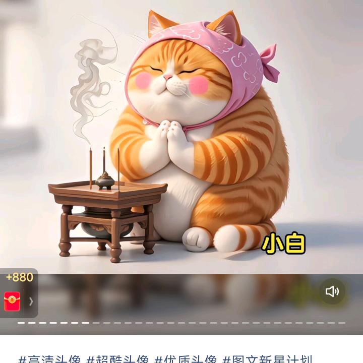 君阁宠物