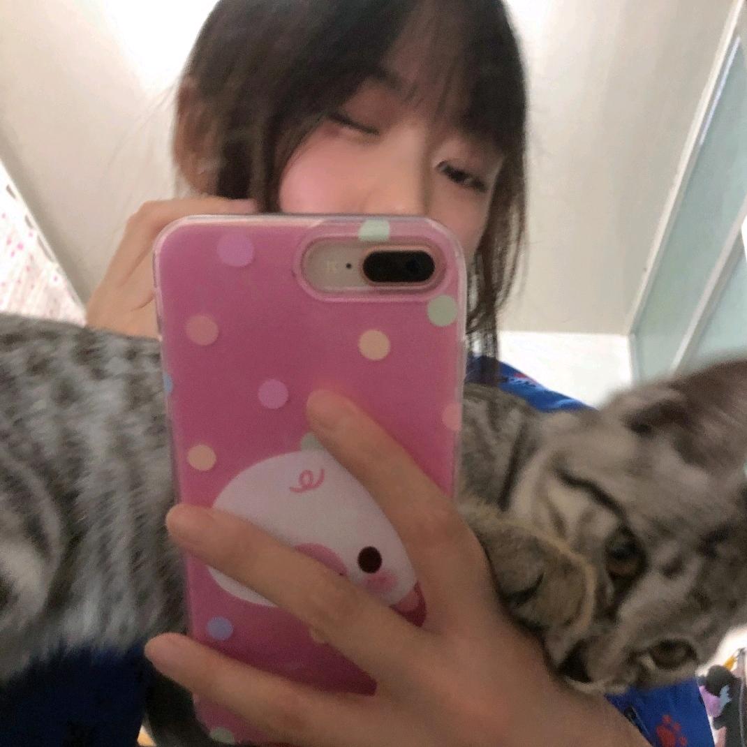 静待花开，三宝