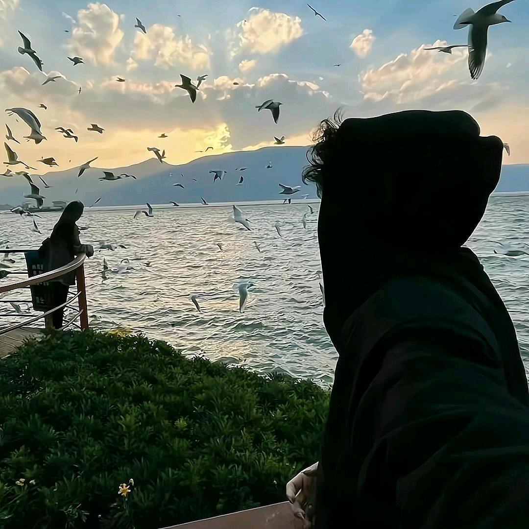 𝓟𝓮𝓮𝓵.