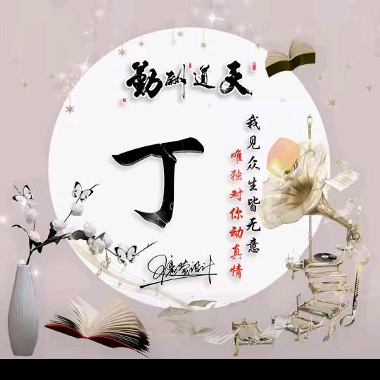 🐶丁丁🐶