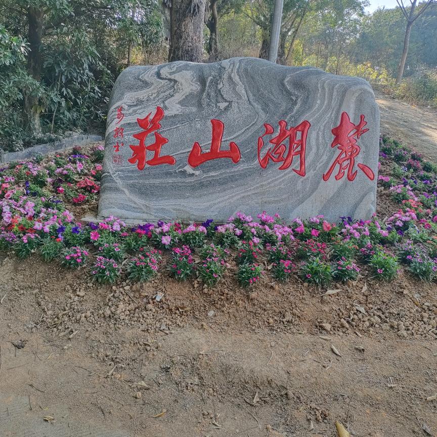 明天会更好