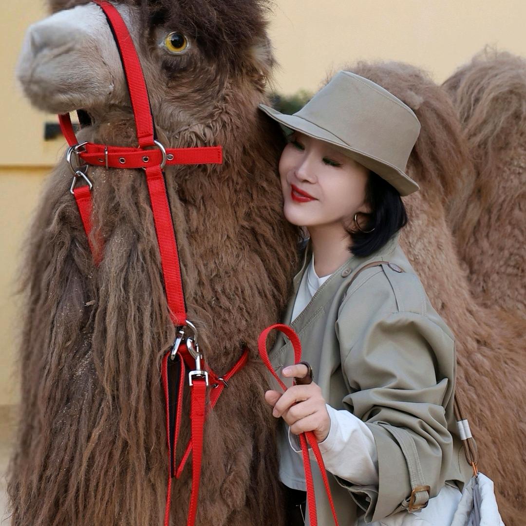 兰兰（拒私聊）