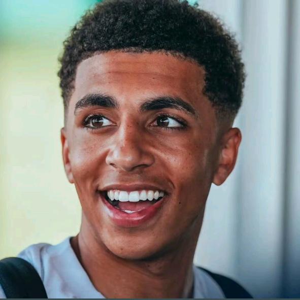 里科·亨利·马克·刘易斯