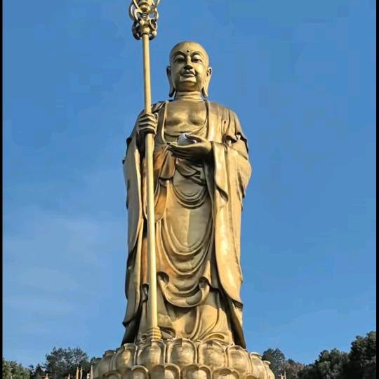 天下梅花
